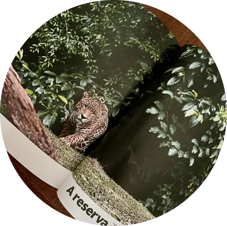 solucoes em comunicacao